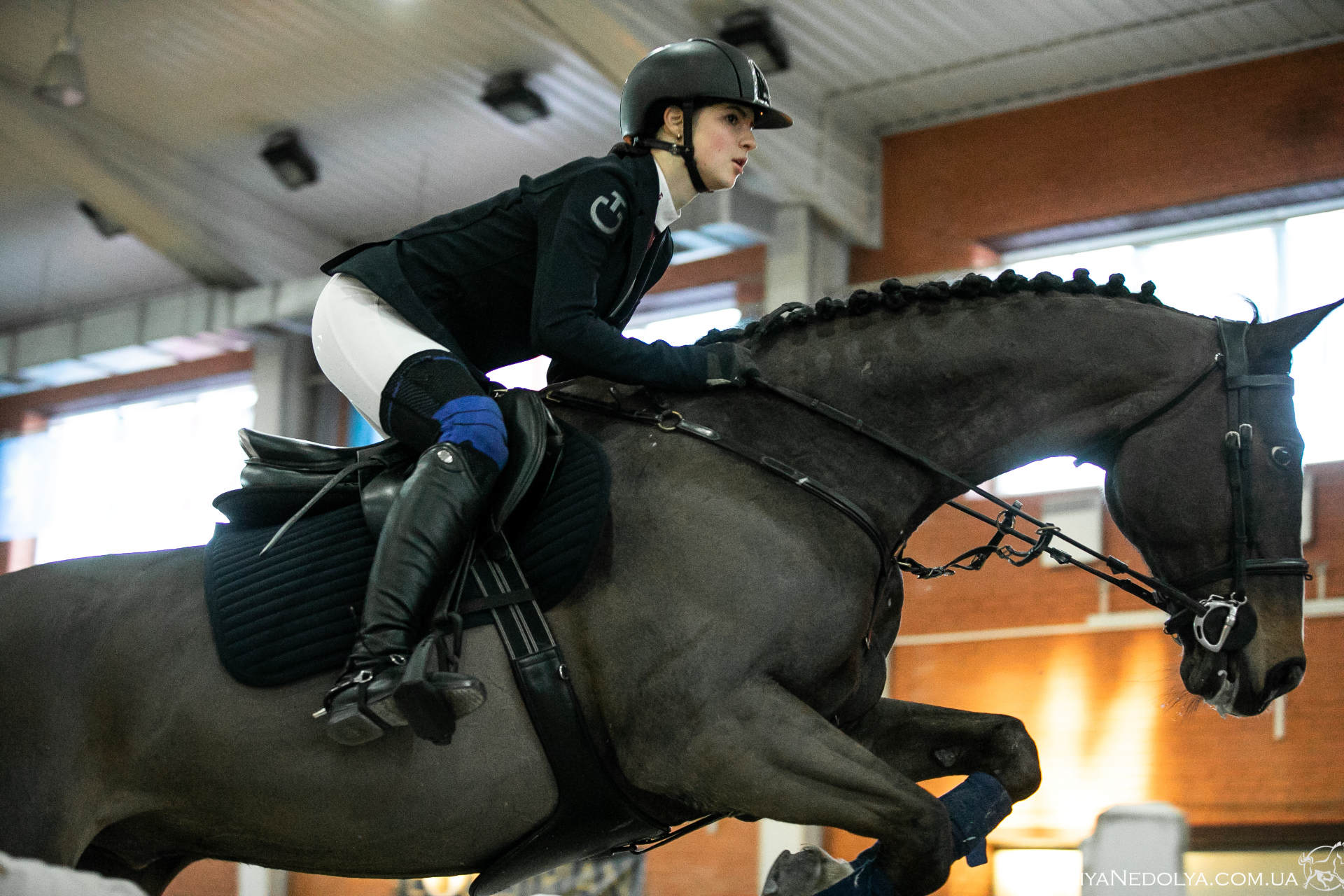 Oleksandra Korkh in professional equestrian sport